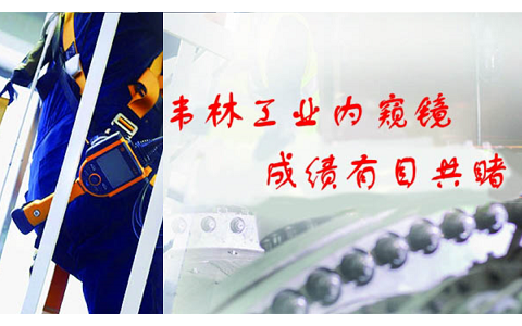 不同類型工業內窺鏡的性能比較 不同類型工業內窺鏡的性能比較